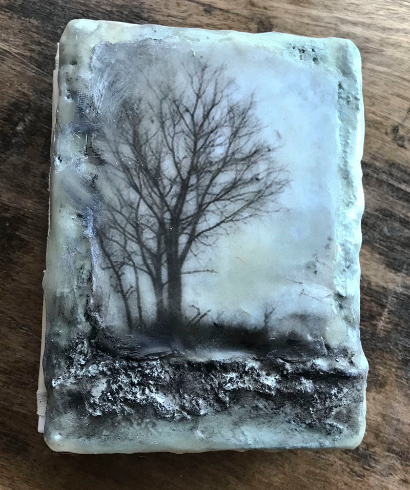 The Makings of a Plaster and Wax Book Class