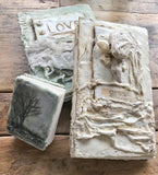 The Makings of a Plaster and Wax Book Class